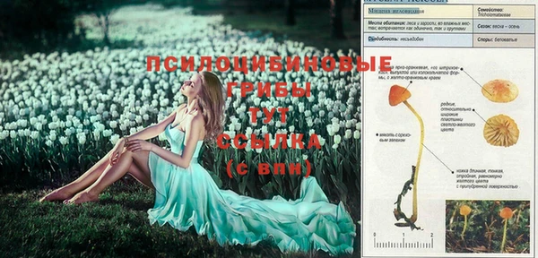 а пвп мука Абаза