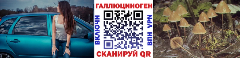 Псилоцибиновые грибы Psilocybe  KRAKEN ССЫЛКА  Грозный 